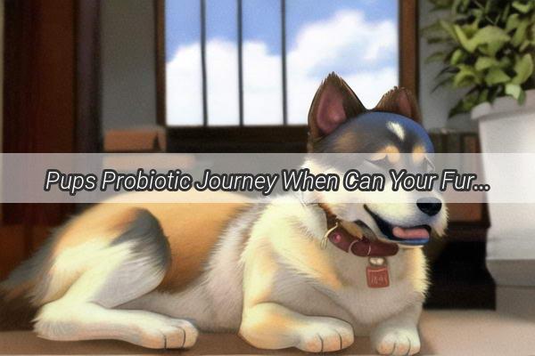 Pups Probiotic Journey When Can Your Furry Friend Start Benefiting from Good Bacteria